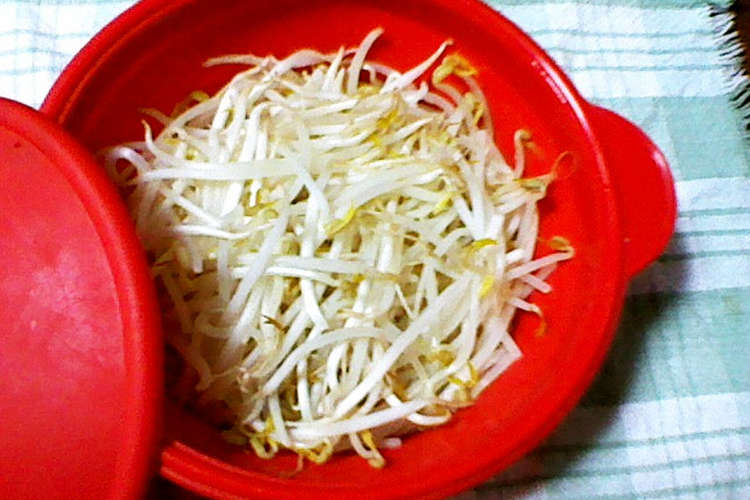 ストック用 電子レンジで蒸しもやし レシピ 作り方 By C Blue クックパッド 簡単おいしいみんなのレシピが355万品