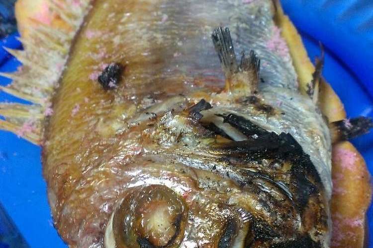 リアル ﾟdﾟ ﾊｯ たい焼きトースト レシピ 作り方 By トース党 クックパッド 簡単おいしいみんなのレシピが365万品