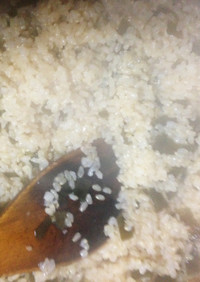 昆布出汁の麹入り玄米ご飯　土鍋炊き