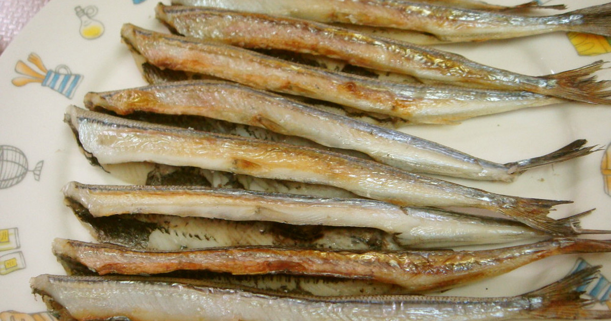 サヨリってどんな魚なの 釣り方 仕掛け 人気レシピ さばき方を徹底解説 釣りラボマガジン