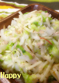 白菜･林檎･ツナのシャキシャキサラダ