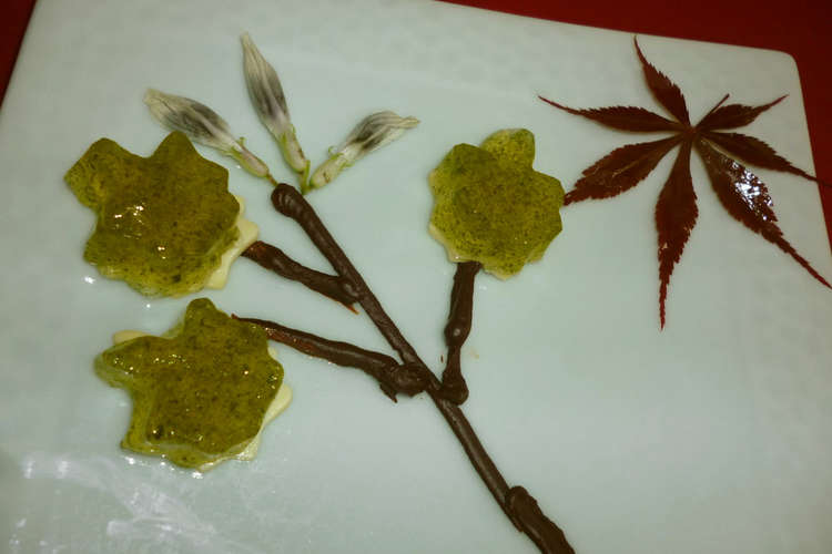 簡単 お洒落な前菜 新緑の梅酒ゼリー レシピ 作り方 By ありがとうの家 クックパッド 簡単おいしいみんなのレシピが357万品