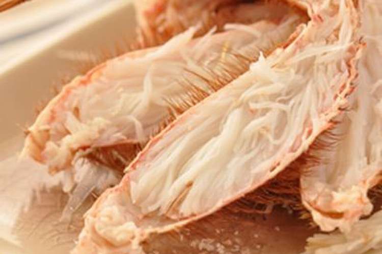 毛カニのさばき方 レシピ 作り方 By Rumitte クックパッド 簡単おいしいみんなのレシピが366万品