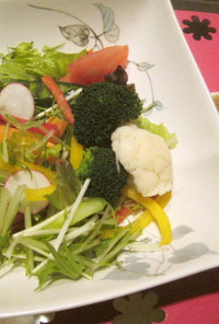 オリジナルソースの野菜サラダ