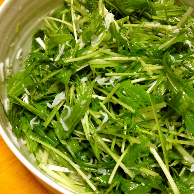 水菜と釜揚げしらすのオリーブオイルサラダ レシピ 作り方 By ミシャコ クックパッド 簡単おいしいみんなのレシピが356万品 水菜と釜揚げしらすのオリーブオイルサラダ レシピ 作り方 By ミシャコ クックパッド 簡単おいしいみんなのレシピが356万品