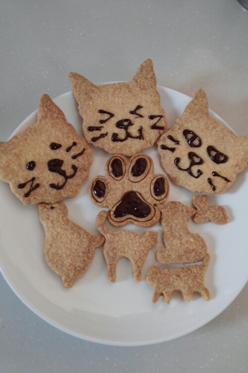 猫クッキーの画像