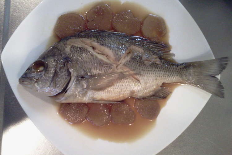 黒鯛 チヌ の煮付け レシピ 作り方 By Phoenixsp クックパッド 簡単おいしいみんなのレシピが361万品