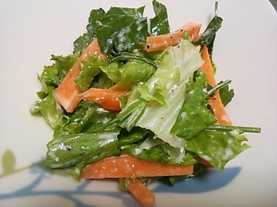 ☆新鮮野菜のさっぱりサラダの写真