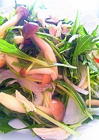 【アジアン風】水菜とささみ、きのこサラダ