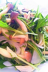 【アジアン風】水菜とささみ、きのこサラダ