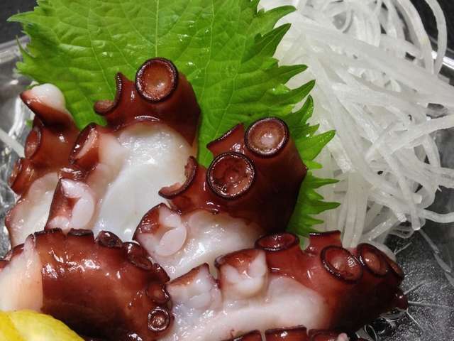 最新のhdミズダコ 刺身 最高の花の画像