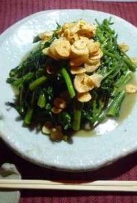 空心菜炒め　テラシ(カピ)　京都カフェ