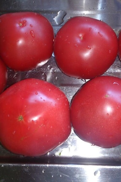 トマト保存の写真