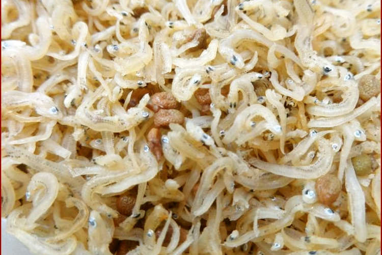 ちりめん山椒 醤油漬け山椒を使って レシピ 作り方 By いいかげん減塩料理 クックパッド 簡単おいしいみんなのレシピが352万品