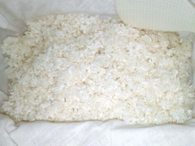 お休みの土日と使って米麹作りの写真