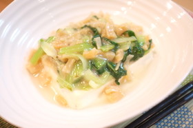 青梗菜とほたて貝柱のとうふあんかけ