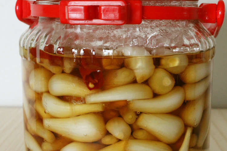 塩漬け不要 カリカリ らっきょう甘酢漬け レシピ 作り方 By 白雲堂 クックパッド 簡単おいしいみんなのレシピが357万品