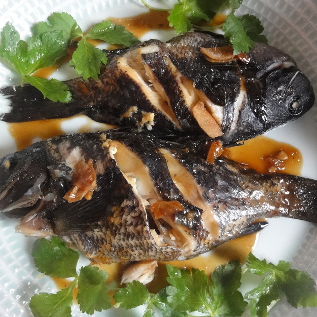 おごちそう 黒鯛の煮つけ レシピ 作り方 By きゃあママ クックパッド 簡単おいしいみんなのレシピが361万品