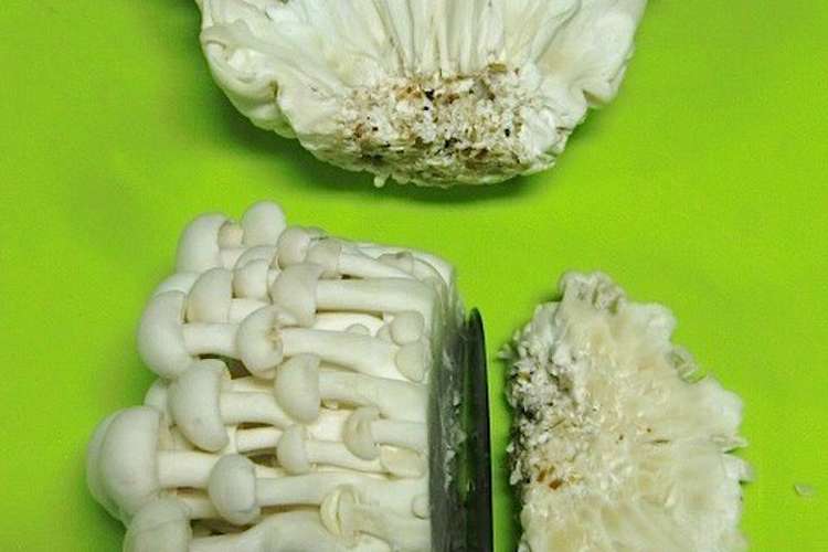 きのこ しめじ ブナピーの切り方 レシピ 作り方 By Snow Love クックパッド 簡単おいしいみんなのレシピが376万品