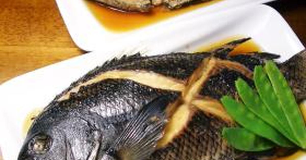 グレ メジナ ってどんな魚 レシピ 旬な時期 釣り方 さばき方を解説 釣りラボマガジン