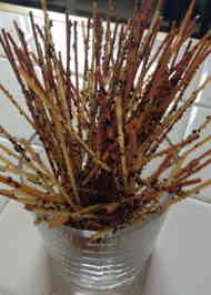 みんなが作ってる パスタスティックのレシピ クックパッド 簡単おいしいみんなのレシピが358万品