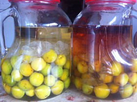 簡単 おいしい ウイスキー梅酒