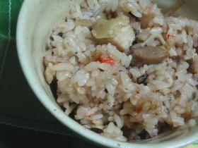 鶏&じゃこ飯