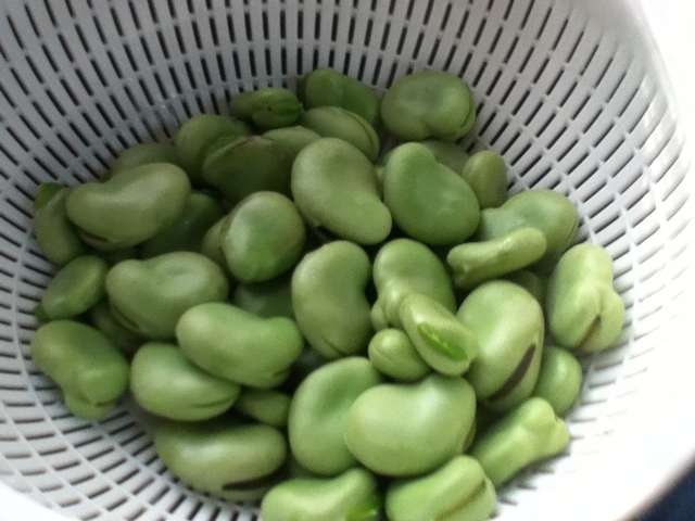 空豆 の ゆで 時間