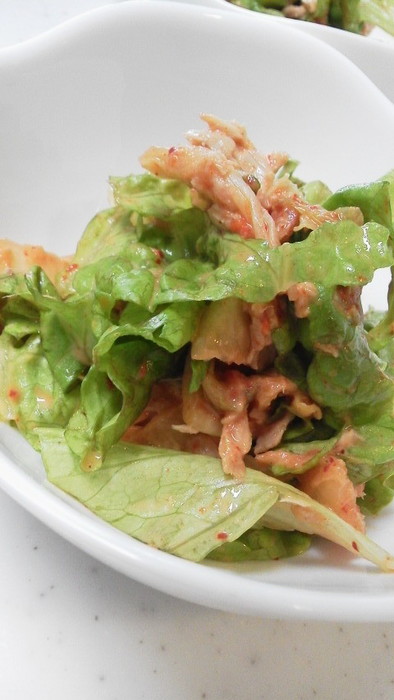 サニーレタスとツナキムチの簡単サラダの写真