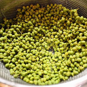 正しい山椒の実の下ごしらえと保存方法 レシピ 作り方 By めかまはぉ クックパッド 簡単おいしいみんなのレシピが357万品