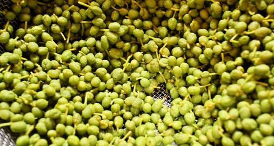 正しい山椒の実の下ごしらえと保存方法 レシピ 作り方 By めかまはぉ クックパッド 簡単おいしいみんなのレシピが357万品