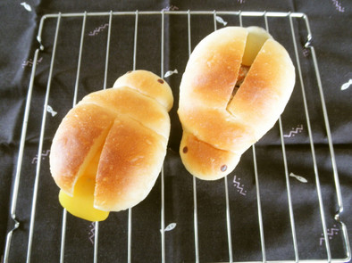 虫パン♪光る蛍のパンの写真