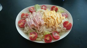 サラダうどん