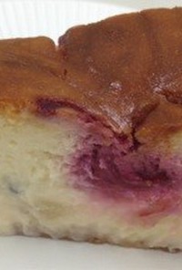 トロピカルチーズケーキ
