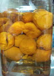 みんなが作ってる あんず 氷砂糖のレシピ クックパッド 簡単おいしいみんなのレシピが357万品