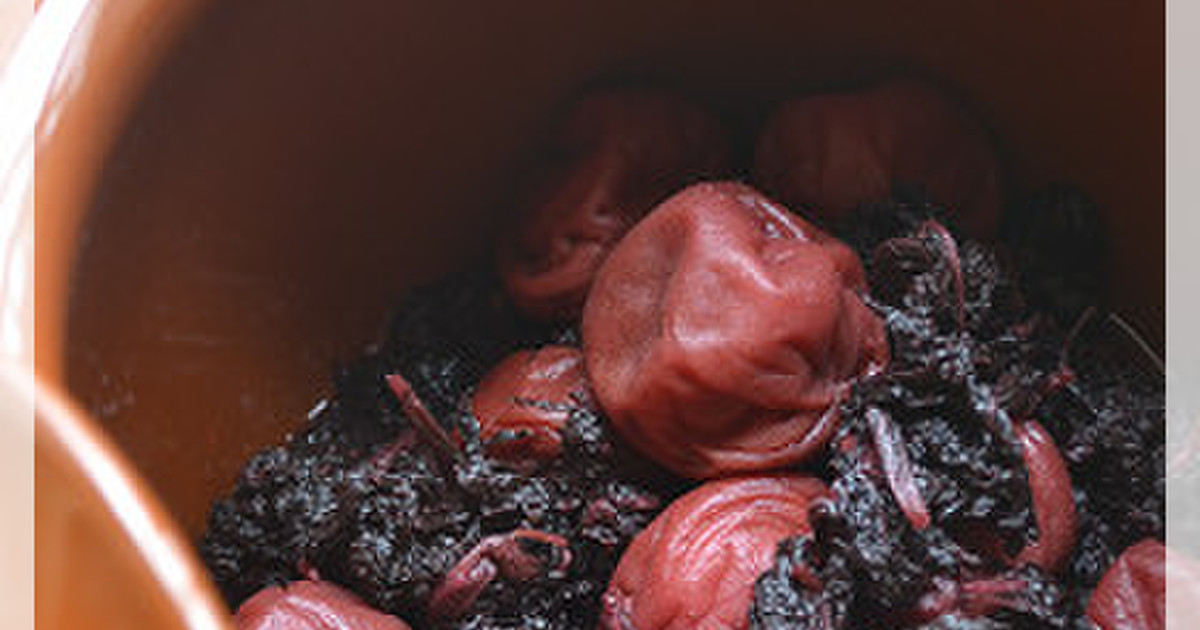 梅干しの漬け方 作り方 レシピ 作り方 By Hiroマンマ クックパッド 簡単おいしいみんなのレシピが349万品