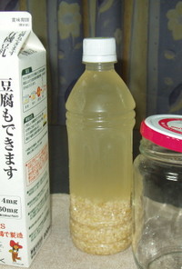 玄米乳酸菌の作り方（暖かい時期