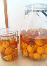 みんなが作ってる あんず 氷砂糖のレシピ クックパッド 簡単おいしいみんなのレシピが357万品