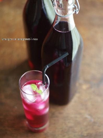 濃縮赤紫蘇ジュースの写真