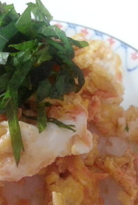 【ズボラ飯】鮭フレーク卵焼き丼