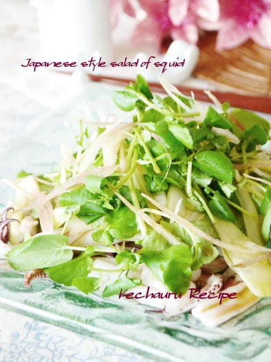 うちの夏の定番☆イカと香味野菜のサラダの写真