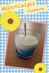 カルピス×牛乳×レモンで飲むヨーグルト★