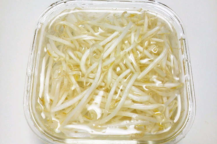 もやしは水につけて保存 豆腐 蒟蒻 レシピ 作り方 By にっしぃ クックパッド 簡単おいしいみんなのレシピが352万品