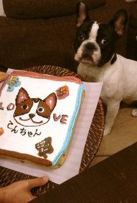 愛犬ケーキ(×犬用○人間用)