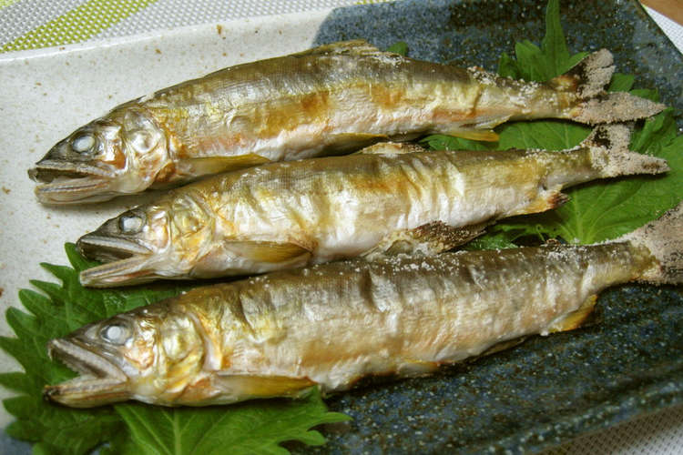 初物 鮎の塩焼き レシピ 作り方 By ぴょん太58 クックパッド