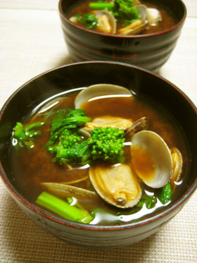 簡単☆春限定❀アサリと菜の花のお味噌汁