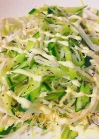 超簡単キャベツ＆胡瓜のゆかり塩昆布サラダ