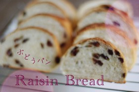 レーズン大好き♡ぶどうパン