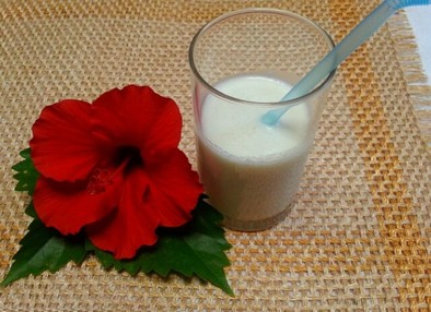 ココナッツミルク  ドリンク&タピオカの写真
