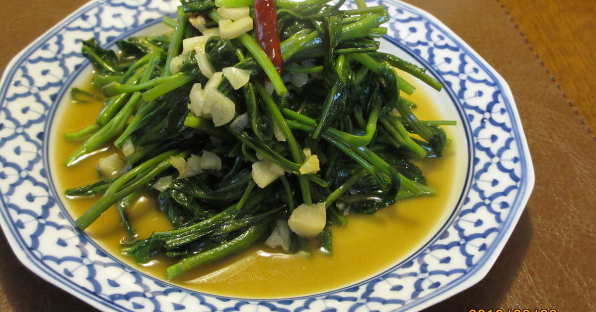 最速空心菜籽怎么种